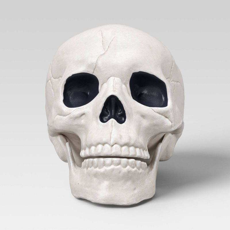 Hyde and EEK Boutique 6-inch skull Halloween prop